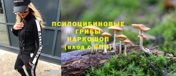 spice Осташков