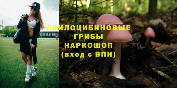 СК Абаза